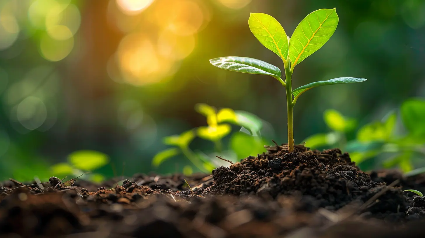 From Bootstrap to Breakthrough: Financing Your Startup
