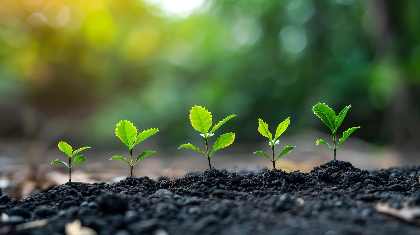 How to Continue Evolving Your Strategic Plan as Your Business Grows