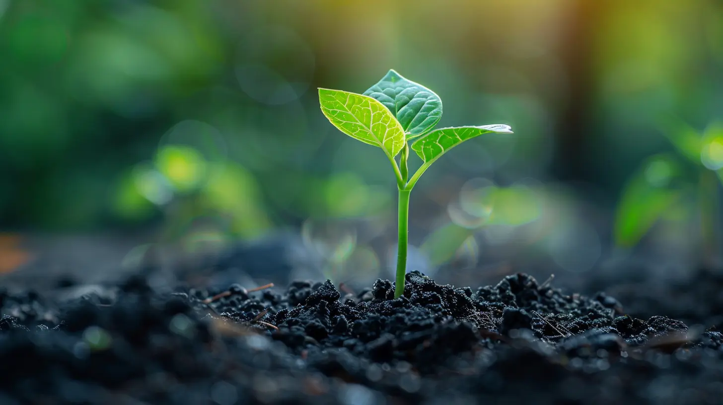 How to Prepare Your Business for Rapid Growth
