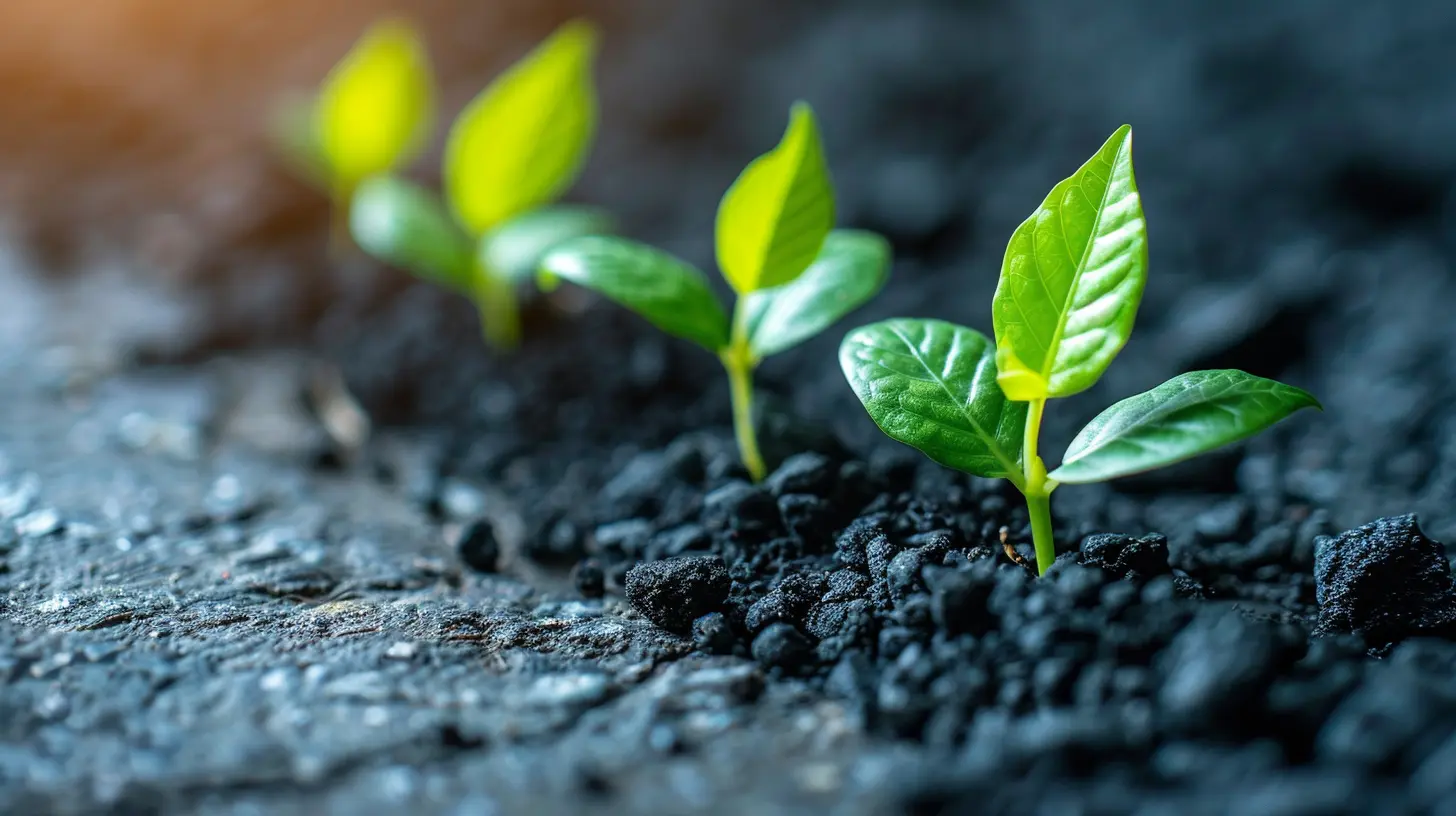 Innovations That Drive Growth: Embracing Change in a Competitive Market