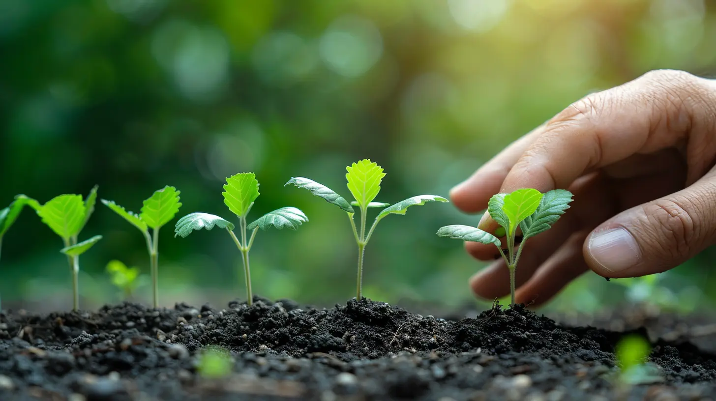 Innovations That Drive Growth: Embracing Change in a Competitive Market