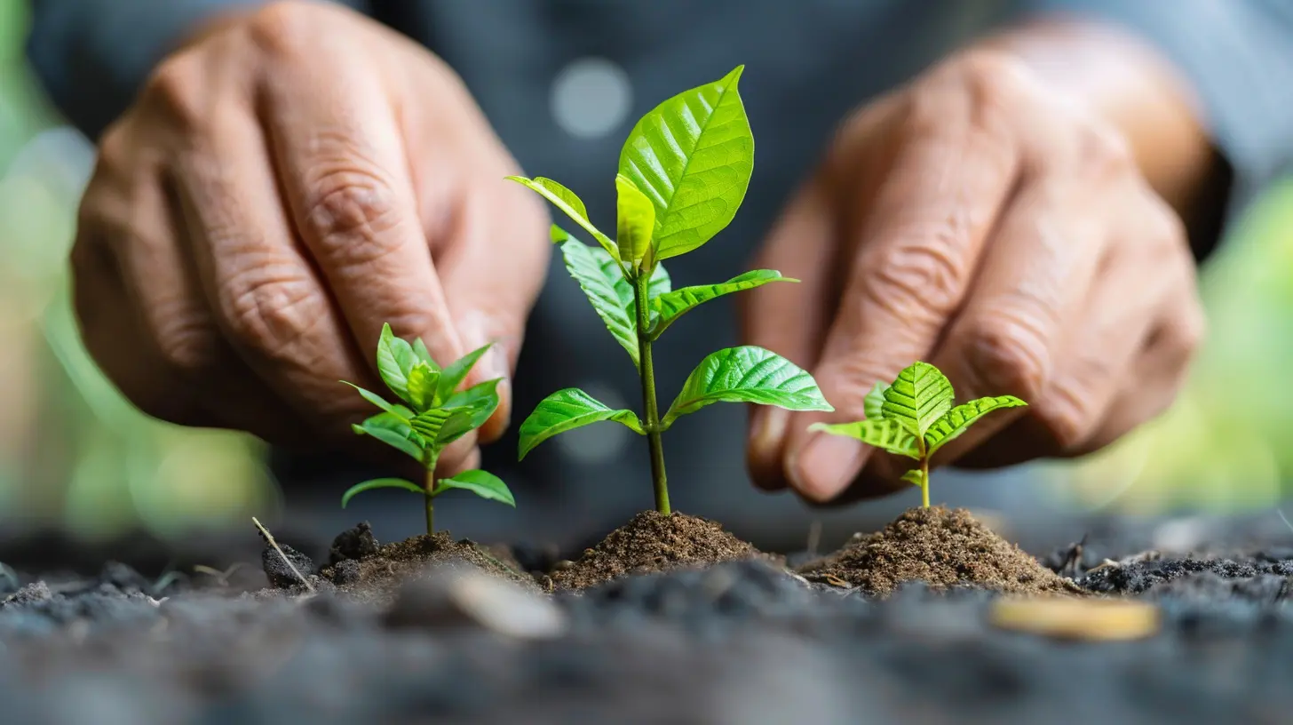Key Strategies to Maximize Your Investment Portfolio