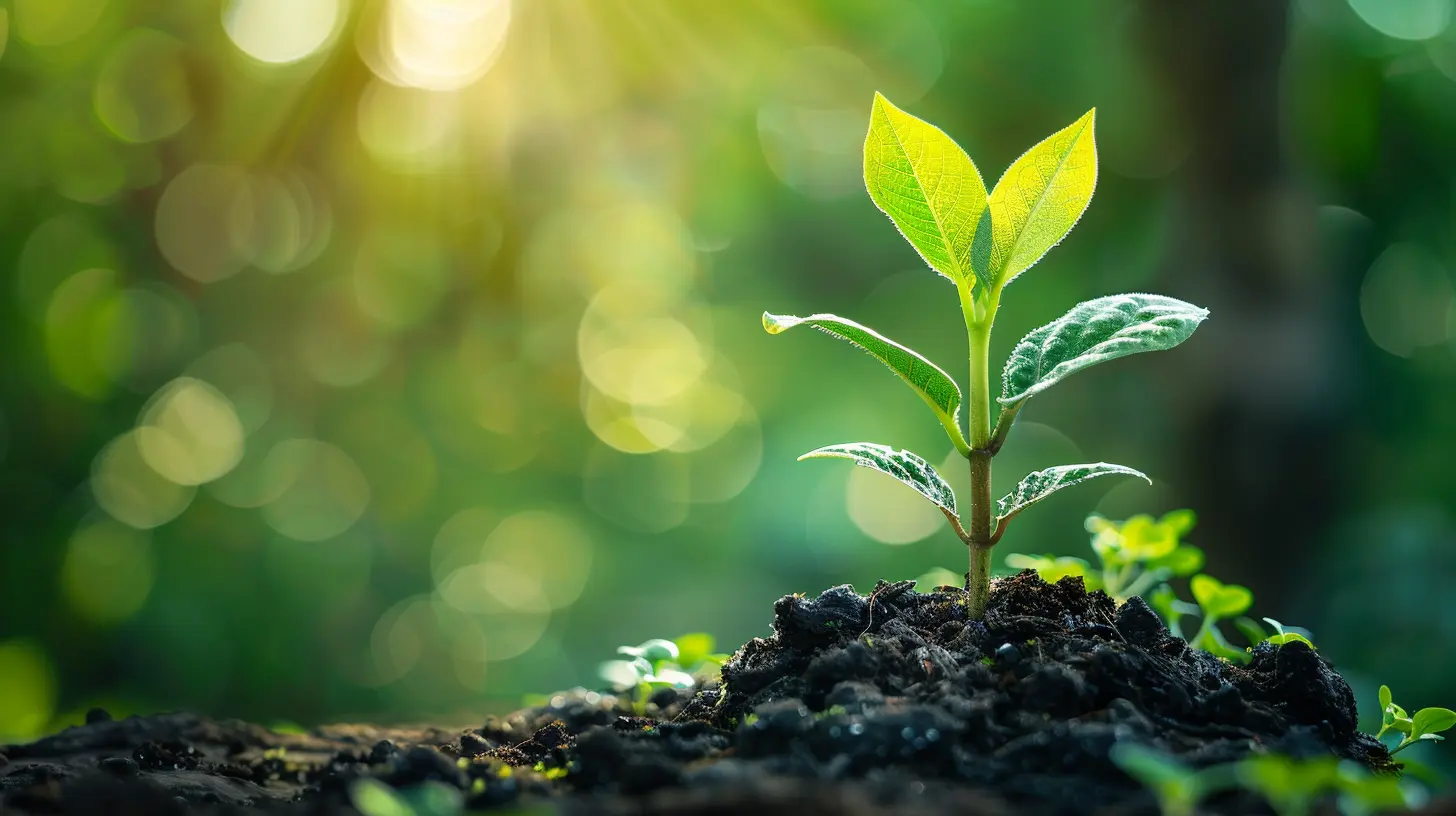 Optimizing Your Supply Chain to Support Growth and Expansion