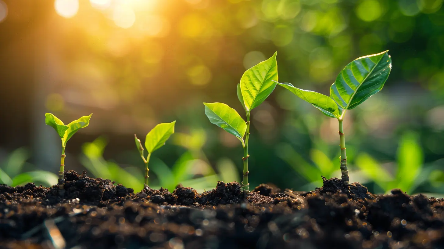 Reinvesting Profits Wisely to Support Future Growth