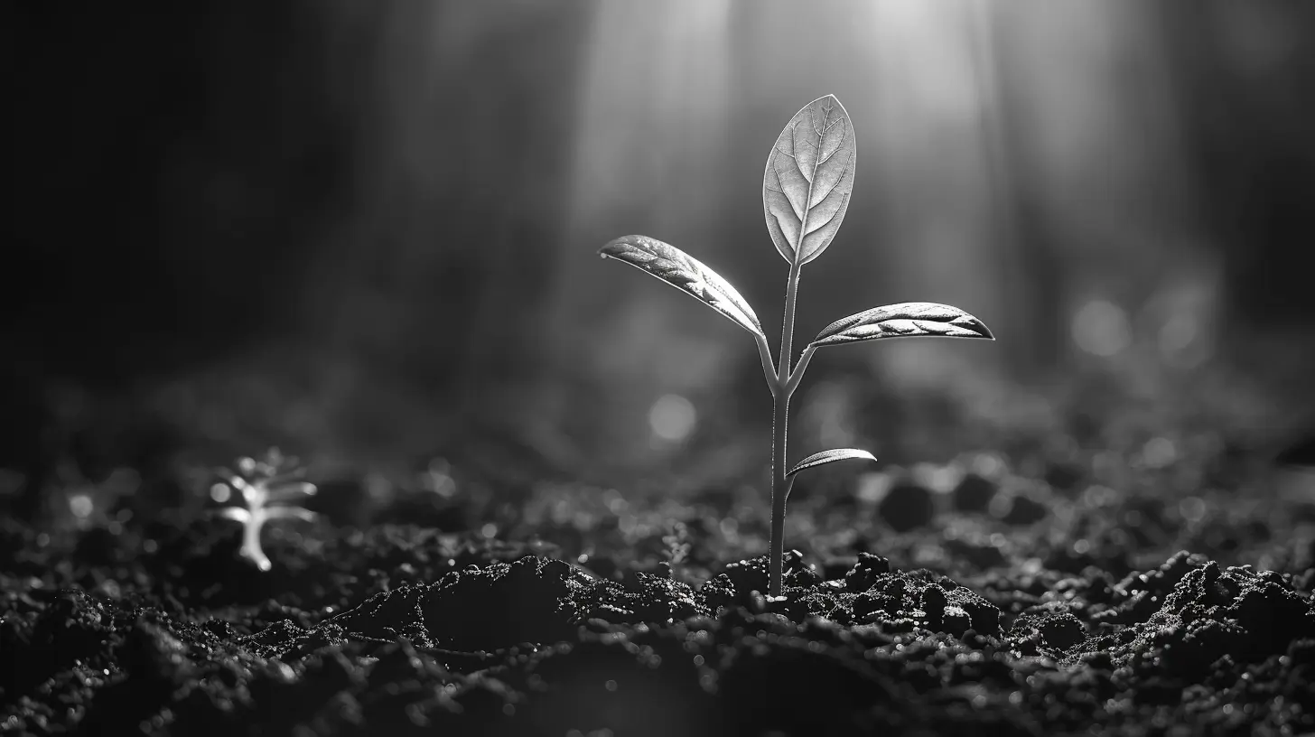 The Evolving Role of Sustainability in Corporate Strategy