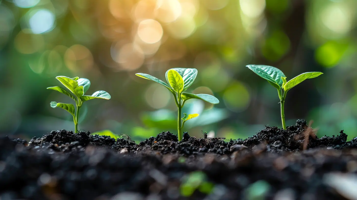 Transforming Company Culture for Long-Term Business Expansion