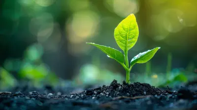 Building a Robust Risk Management Framework for Sustainable Growth