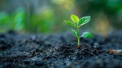 Building A Robust Risk Management Framework For Sustainable Growth