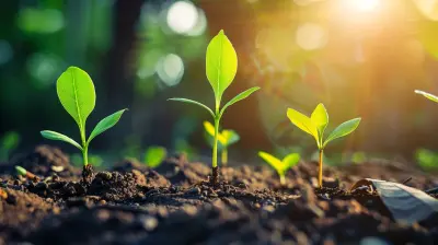 Developing Sales Strategies for Your Early-Stage Startup