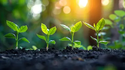 How to Continue Evolving Your Strategic Plan as Your Business Grows