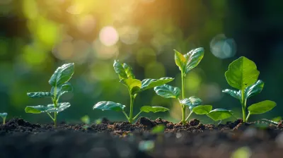 Innovations That Drive Growth: Embracing Change in a Competitive Market