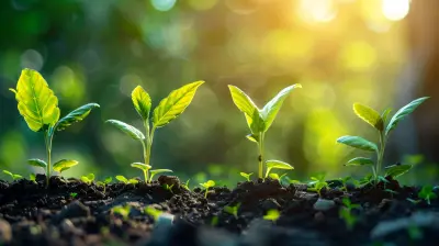 Optimizing Your Supply Chain to Support Growth and Expansion