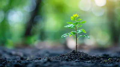 The Importance of Brand Loyalty in Sustaining Long-Term Expansion