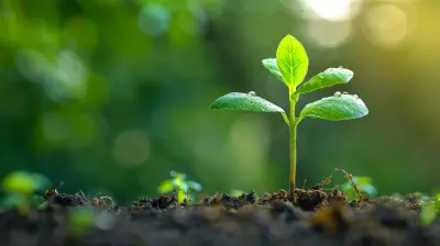 The Role of Strategic Planning in Business Growth and Sustainability