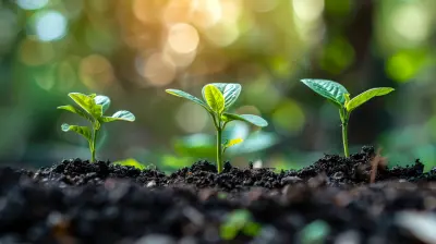 Transforming Company Culture for Long-Term Business Expansion