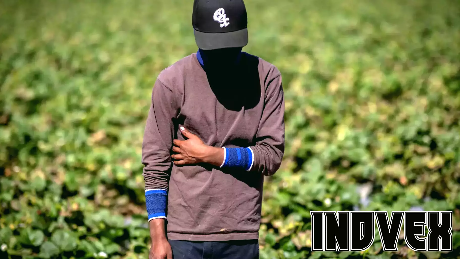 Capital & Main Wins Five Best in Business Awards from SABEW