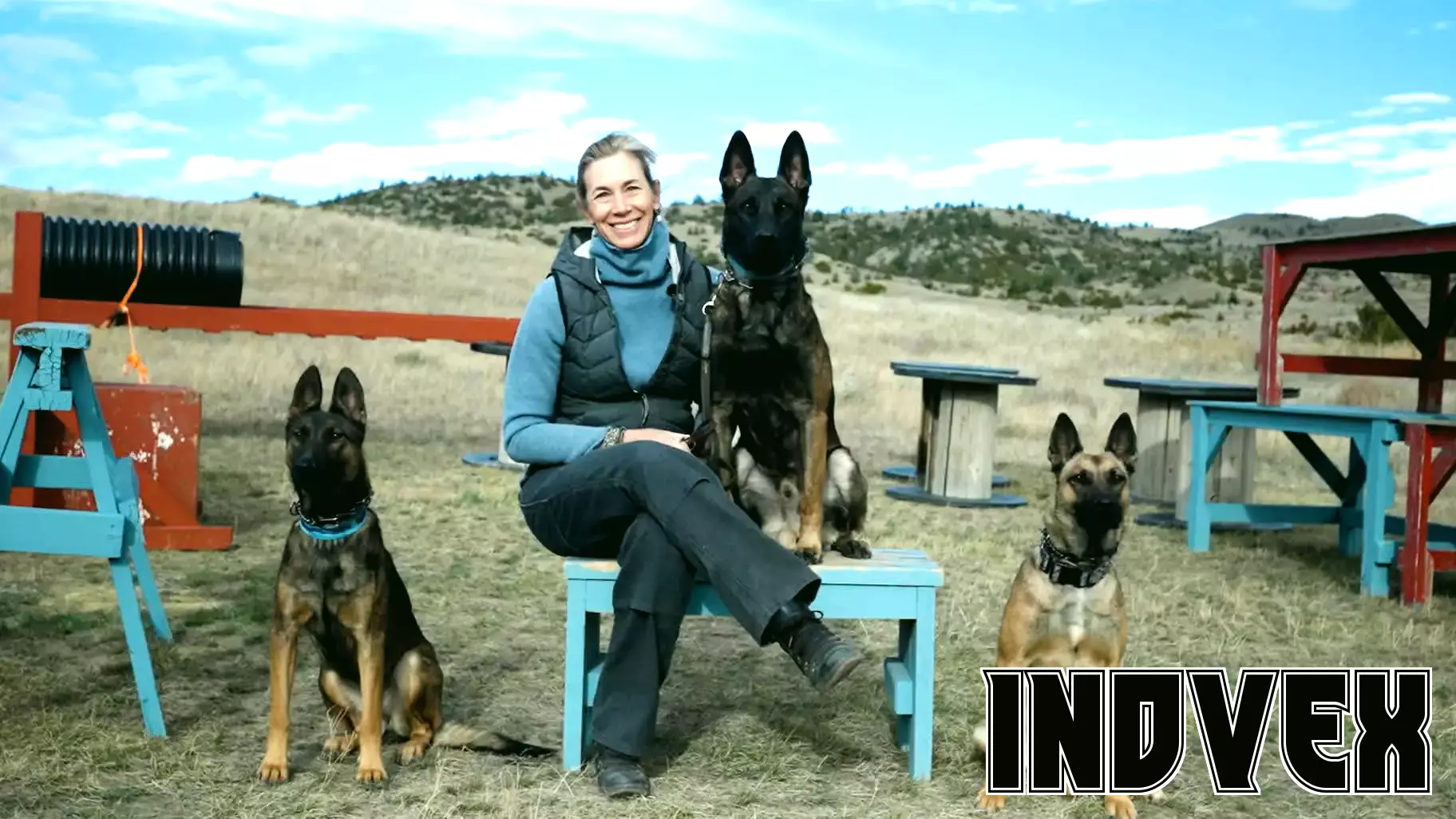 From Policy to Paws: The Rise of a Protection Dog Business