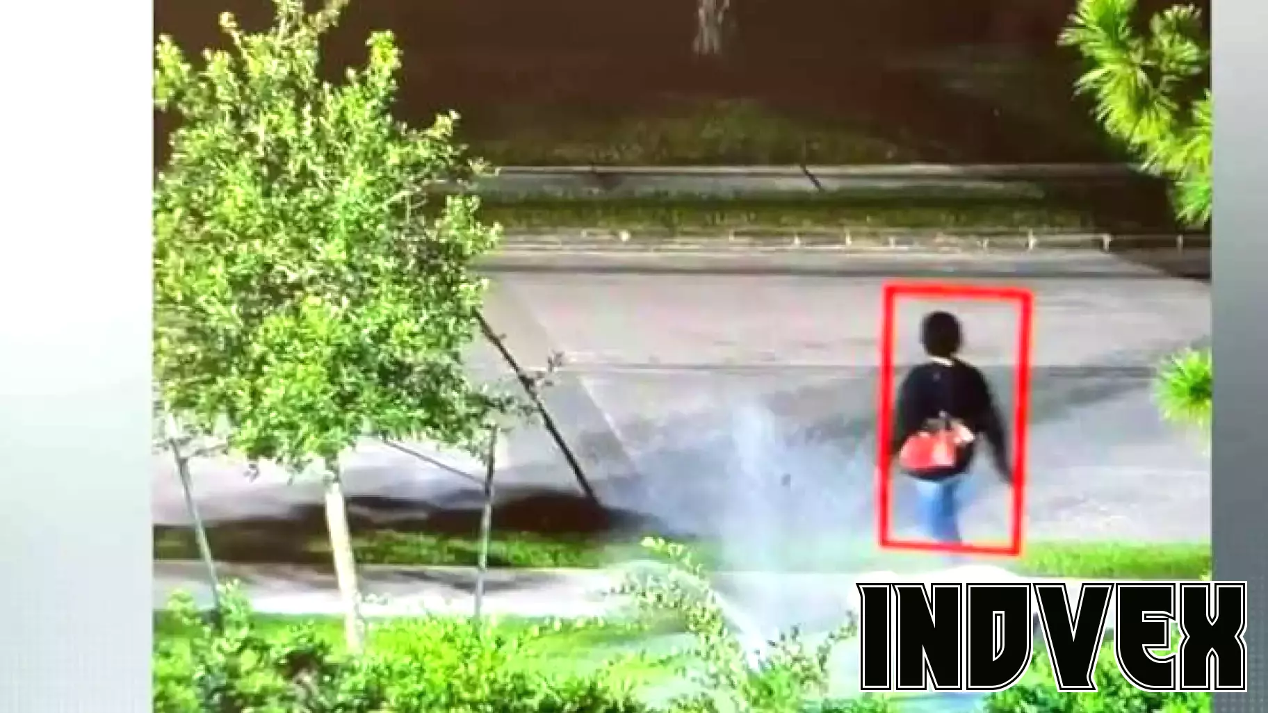 Thieves caught on camera stealing backflow preventers from Kingwood businesses, cost thousands in repairs