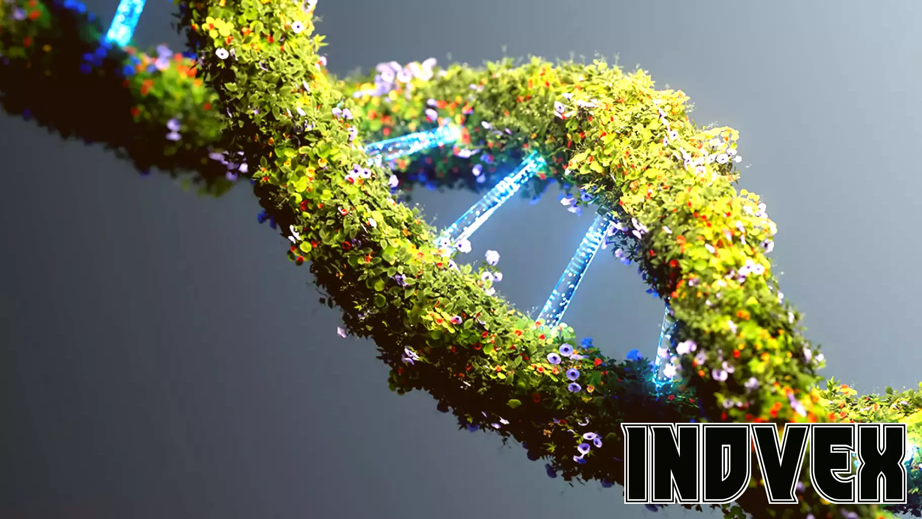 Transform Sustainability with AI