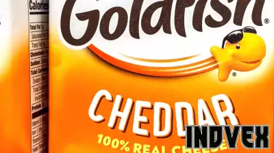 Campbell’s Earnings Are Coming. Investors Want Signs Its Snack Business Is Stabilizing.