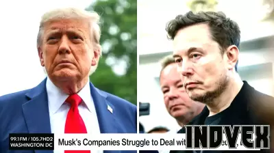 Elon Musk's Business Ventures Confront Political Turmoil and Risks