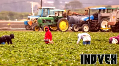 Fieldworker turned business owner: Dulce Organic Farms