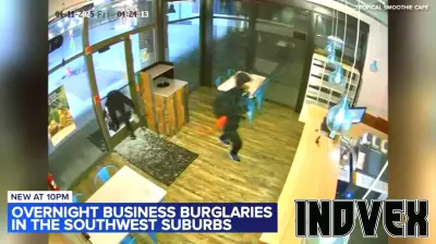 Multiple Businesses Targeted by Burglars in Southwest Suburbs
