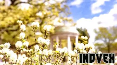 State Establishes NC Economic Forecasting Initiative at UNC Kenan-Flagler Business School  